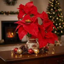 daiktų Poinsettia Christmas Star Red Dirbtinis L55cm 2vnt