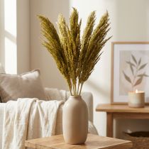 daiktų Džiovintos žolės, alyvuogių žalios spalvos, dekoratyvinės, 70 cm, 10 vnt., Pampas žolės pakaitalas