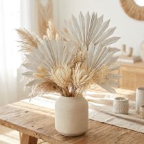 daiktų Palmspear Sun mini whitewashed 50 vnt