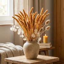 daiktų Džiovintos gėlės Setaria Pumila Orange, šerių sorų dekoratyviniai grūdai 72cm 200g