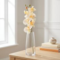 daiktų Dirbtinis Orchid Cream Oranžinis Phalaenopsis 78cm