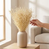 daiktų Džiovintos natūralios balintos žolės linai 50-55 cm 180 g