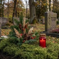 daiktų Dekoratyvinė samanų džiovintų miško samanų žalia natūrali dekoracija 300g