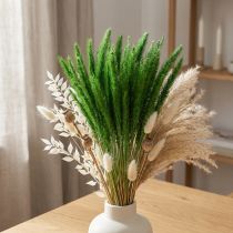 daiktų Žalių šerių sora Setaria viridis sausa žolė 52cm 28g