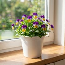 daiktų Plastikinis puodas “Irys” baltas Ø15cm H13cm 1 vnt