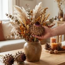 daiktų Džiovinti artišokų žiedai Cynara Ø9cm 16 vnt.