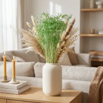 daiktų Džiovintos skėtinės gėlės, žalios, 70-80 cm, 150 g