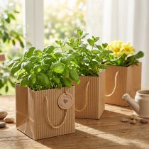daiktų Popierinis gėlių vazonas augalų maišelis folija natūrali 10,5 cm 10 vnt