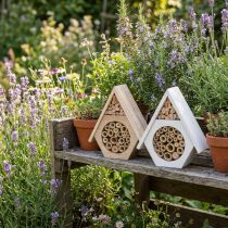 daiktų Insect Hotel Honeycomb Bee Hotel Wood White Natural H18,5cm 2vnt