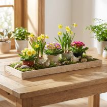 daiktų Dekoratyvinis padėklas pailgas medinis padėklas natūralus 42×14×3cm 3vnt