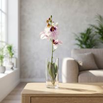 daiktų Dirbtinė falenopsio orchidėja, balta ir violetinė, 43 cm