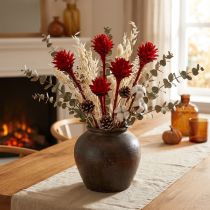 daiktų Plumosum 1 Red 25 vnt