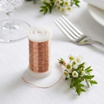 daiktų Mirtos viela varinė 0,30 mm 100 g amatų viela floristikai