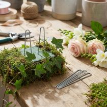 daiktų Ivy Smeigtukai 80mm Cinkuoti Floristiniai Smeigtukai 400g