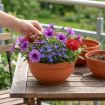 daiktų R formos dubenėlis plastikinis terakotos spalvos Ø19cm, 10 dalių