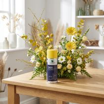 daiktų OASIS® Easy Color Spray, dažų purškiklis geltonas 400ml