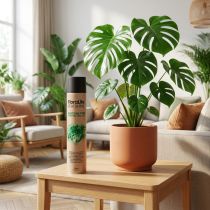 daiktų Oasis Floralife Leaf Shine Leaf Shine Spray 750ml
