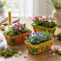 daiktų Skiedrų krepšelių rinkinys kvadratinis įvairiaspalvis 20cm x 11cm 12 vnt