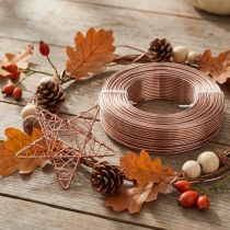 daiktų Aliuminio viela Ø2mm aliuminio viela kūrybinė viela šviesiai ruda 500g 60m