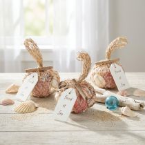 daiktų Jūrinės dekoratyvinės kriauklės tinklelyje, spalvingos, 3,5-6 cm, 300 g × 3 vnt.
