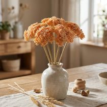 daiktų Dirbtinės kraujažolės gėlės oranžinės 50cm 5vnt