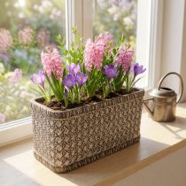 daiktų Planter Planter Keraminis dubuo Rudas, Baltas 23×11×11cm