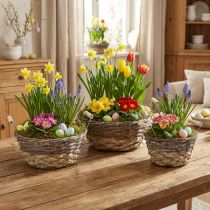 daiktų Baltas „Shabby Chic“ augalų krepšelių rinkinys, velykinė dekoracija, natūralus krepšelis su rankenomis Ø28/24/19cm, dekoratyviniai krepšeliai, skalbti