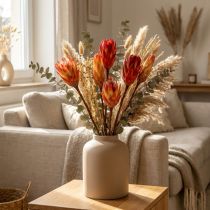 daiktų Repens Red 25 vnt