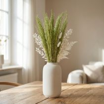 daiktų Bent Grass Agrostis Capillaris Dry Grasses Green 65cm 80g