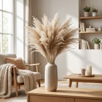 daiktų Sausa žolė Miscanthus 55-75cm plunksnų žolė natūrali 100 vnt