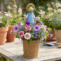 daiktų Frog deco plantatorius polirezininis stalo dekoravimas vasarinis H31,5cm
