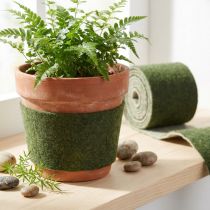 daiktų Veltinis kaspinas Franzi puodo kaspinas vilnos vilnos veltinis tamsiai žalias 15cm 4m