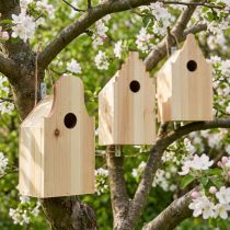 daiktų Paukščių namelis Medinė perų dėžutė Blue Tit Fir H22,5cm 3vnt