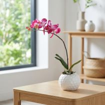 daiktų Dirbtinės orchidėjos vazone Phalaenopsis dirbtinės gėlės orchidėjos rožinės spalvos 34cm