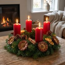daiktų Repens Rosette Light 8-9cm 25 vnt