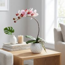 daiktų Rožinė orchidėja keraminiame vazone 31cm