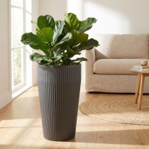 daiktų Grindų vaza, antracito spalvos, plastikinis vazonas, Ø28cm, aukštis 46.5cm
