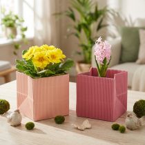 daiktų Gėlių sodintuvas gėlių maišelis rožinė lašiša 12cmx12cm 6 vnt