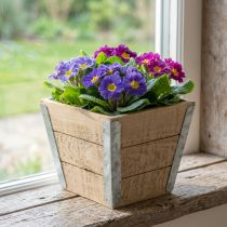 daiktų Gėlių dėžutė medinė sėjamoji shabby chic smėlio spalvos 12,5×14,5×14,5 cm