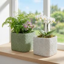 daiktų Sodintuvas keramikinis baltas žalias reljefinis tinklelis 17x17cm H15cm 2vnt