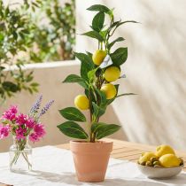 daiktų Citrinmedis vazone, dirbtinis augalas 42 cm - Viduržemio jūros regiono dekoro dirbtinė eglutė