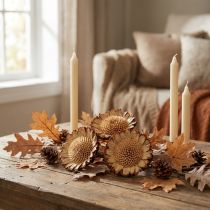 daiktų Susannae Rosette Light 50 vnt