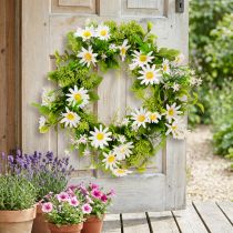 daiktų Daisy Vainikas Baltas Žalias Dirbtinis Ø28cm H9cm