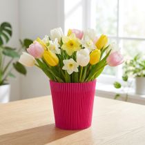 daiktų Plisuoti rankogaliai Cerise 12,5cm 100 vnt