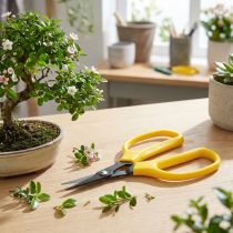 daiktų Oasis bonsai ir pincer žirklės 15,5 cm