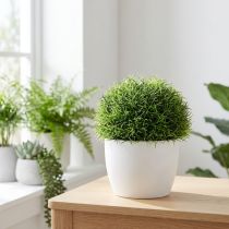 daiktų Žolės kamuolys žalias dekoratyvinis rutulys dirbtinis Ø15cm 1 vnt