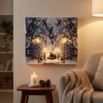 daiktų LED paveikslas žiemos peizažo parkas su žibintais LED freska 58x38cm