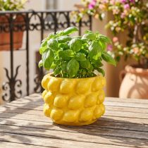 daiktų Gėlių vazonas keraminis vazonas citrinos geltonas Ø18cm H13cm
