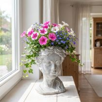daiktų Augalų galvutė betoninė sėjamoji moteriška galva balta skalbta H34cm
