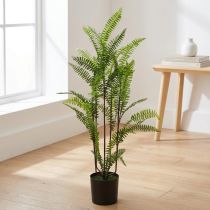 daiktų Papartis vazone žalias 80cm
